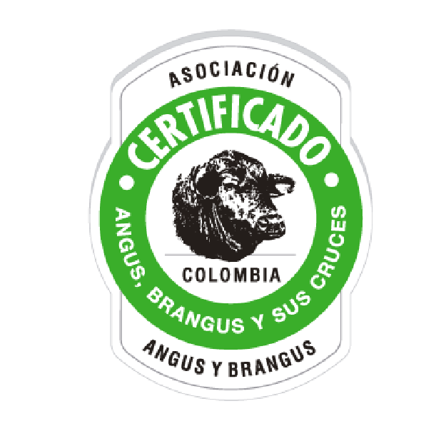 LOGO-CERTIFICADO