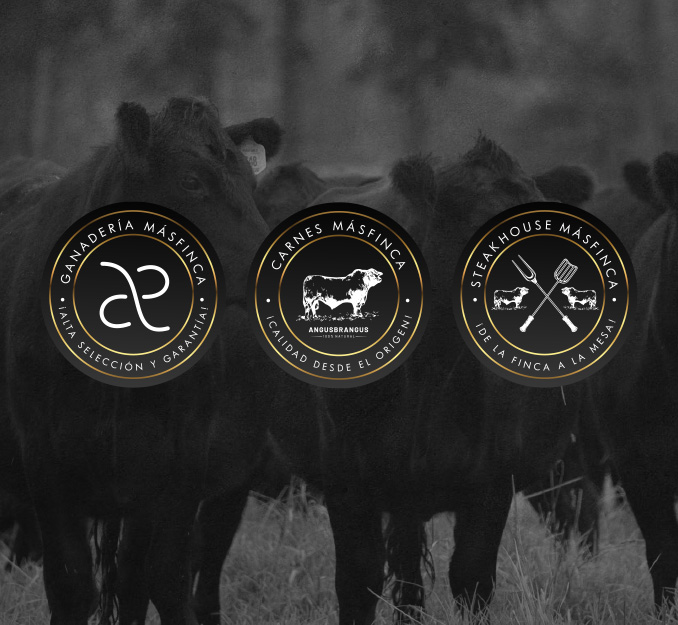 Masfinca-ganaderia23