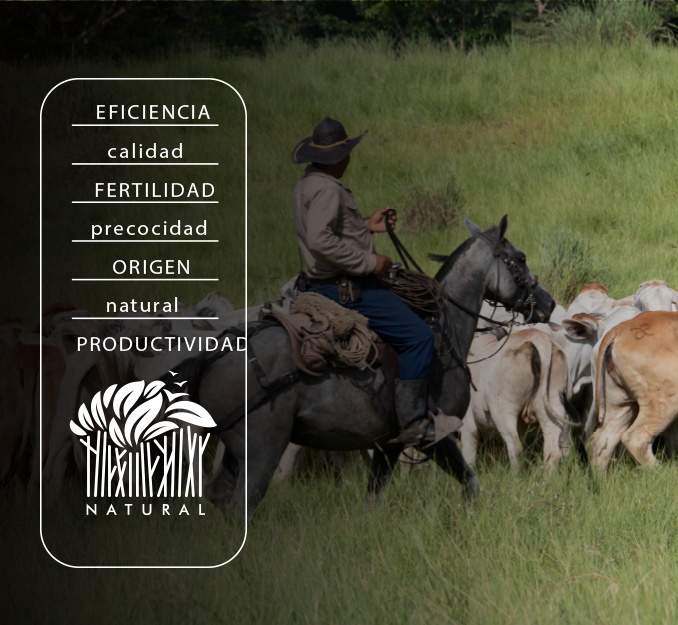 Masfinca-ganaderia24