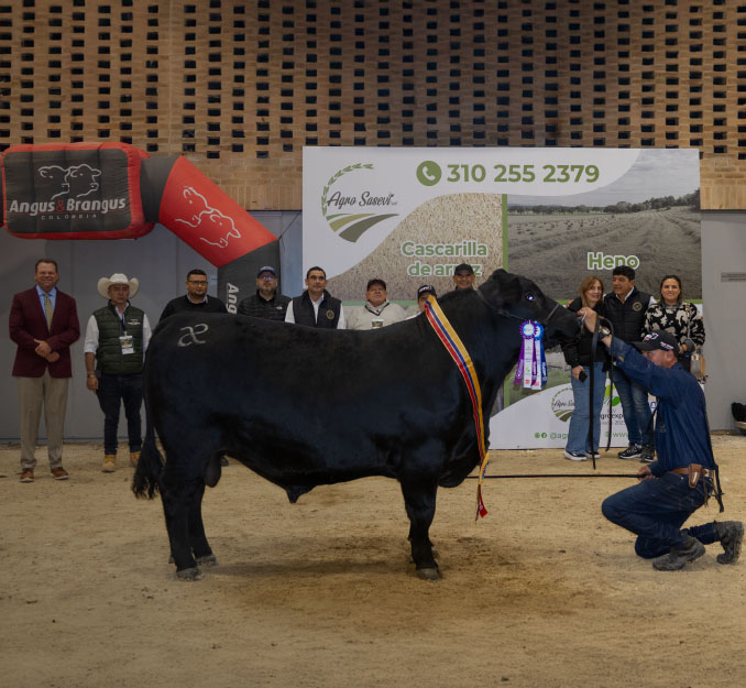 ganaderia-masfinca-81